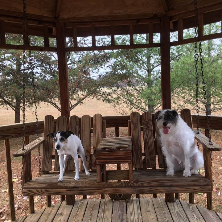 9f88e7cd d182 4813 aee2 3db4e716b8d0