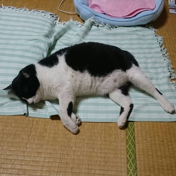 9f88fed9 24a4 4382 bfbc 5a1c60f4a1cf