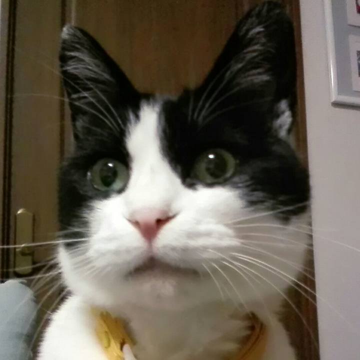 9f891045 8c9c 4d2c afda a6f67d692382