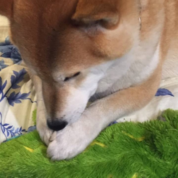 9f89a613 b13c 431c 8e8a a54d89e04edb