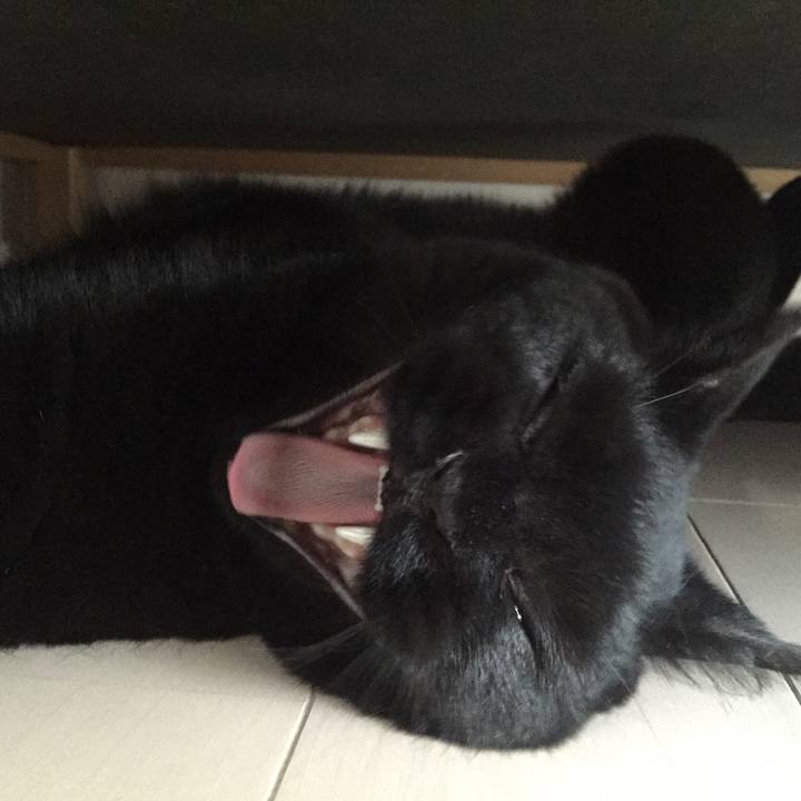 9f89a9de 5e6f 4e39 a7ee 96997ae2403a