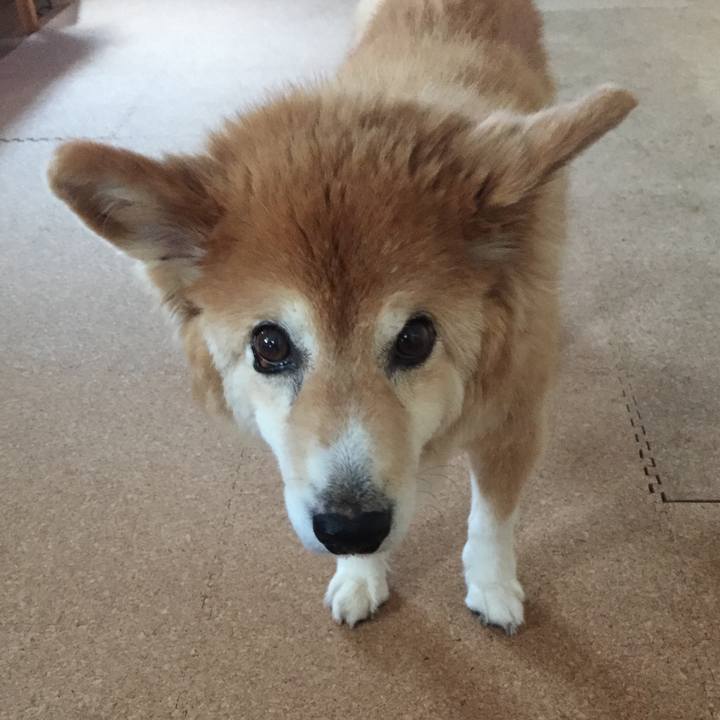 9f8a9497 5917 4312 bd15 eebb2848a76c