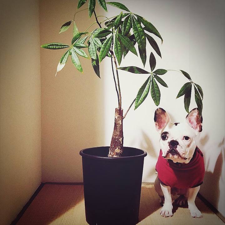 9f8ac134 e85d 4f81 85c4 f587aef8dcc5