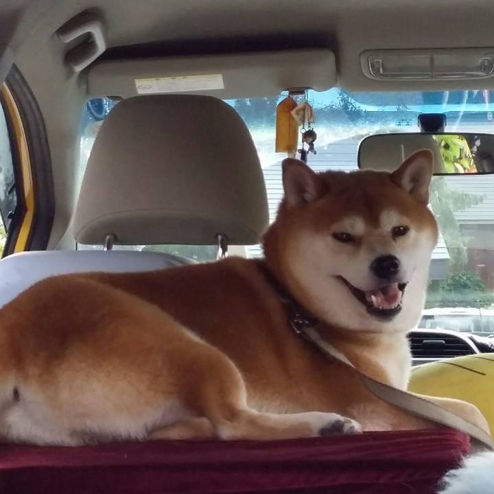 9f8ad9ee ce47 41e8 bf9e 17a7d20ef7e0