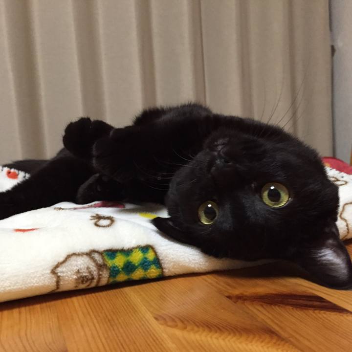 9f8ae5e1 08f8 47e7 9f03 41b8277cff62