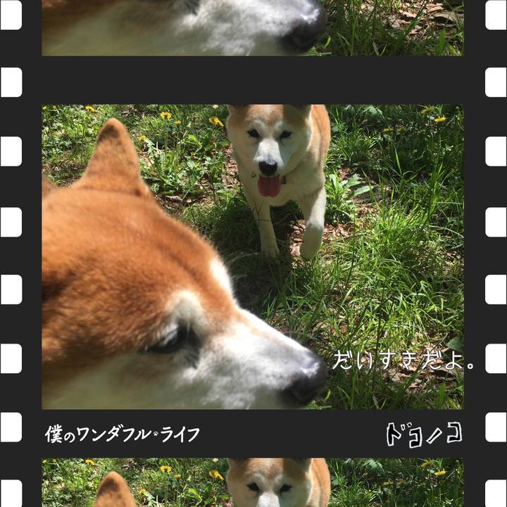 9f8b189c 4fb5 4cb6 b9ba ca14b8fb0dd5