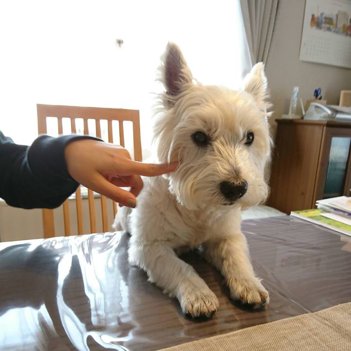 9f8b74d6 1c41 469d 92f6 8e481c95035c