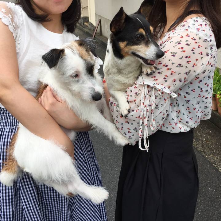 9f8bfa27 95ae 4014 b8d2 1480a9a9c7f3