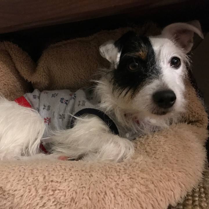 9f8c531e 4cb0 4253 b6c3 fa3e621f7230