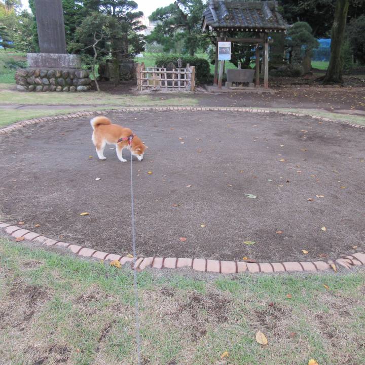 9f8dade1 d5b1 42f2 9ac7 fbd34bf53ec0