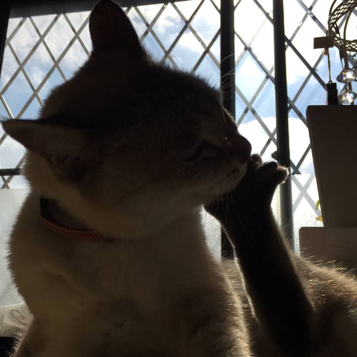 9f8daeb9 a147 496c bfca 96f7d3442f4c