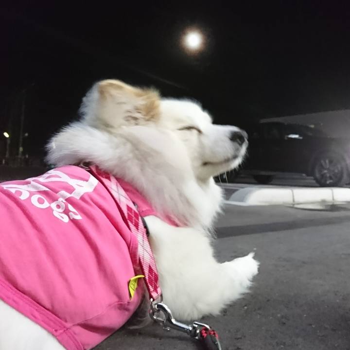 9f8db4a9 d184 4b6c 8549 ed6c8db5e48c