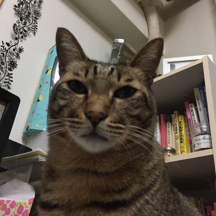 9f8e383e 563b 49d4 bc9f 4144546ae7a7