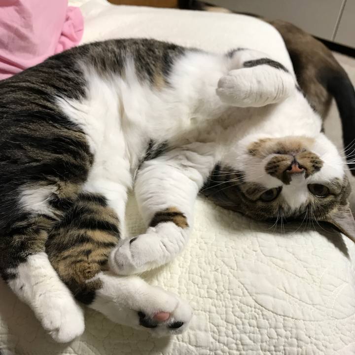 9f8f3728 b0b2 4c32 b9ca 9712e80828a5