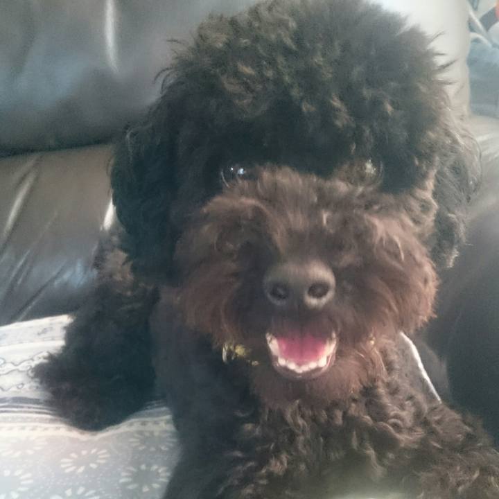 9f8fd730 f8cc 4fa6 80d6 55e77f4110dd