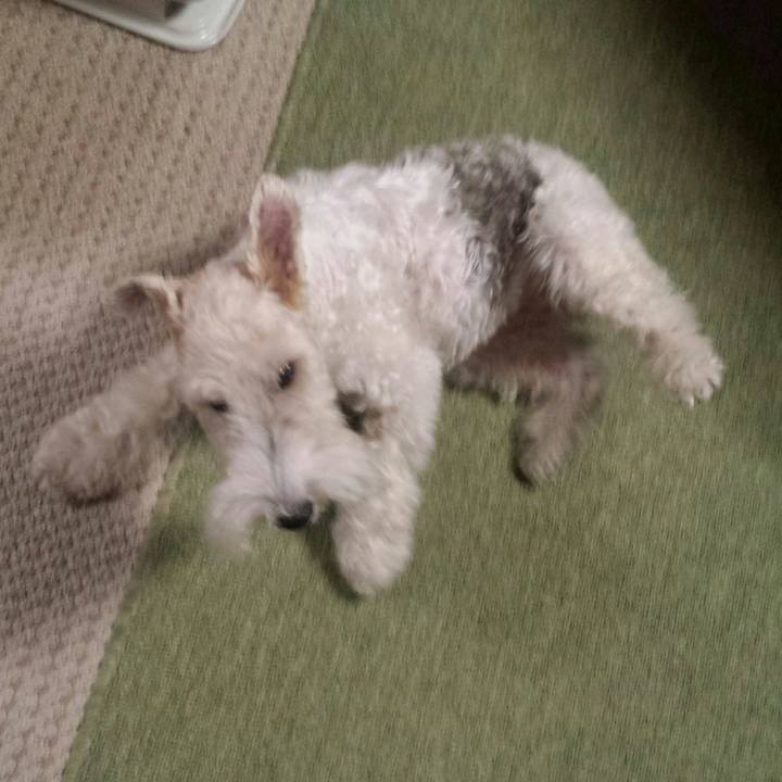 9f9028ae 3090 4aa5 97d1 7b7eaf35e34e