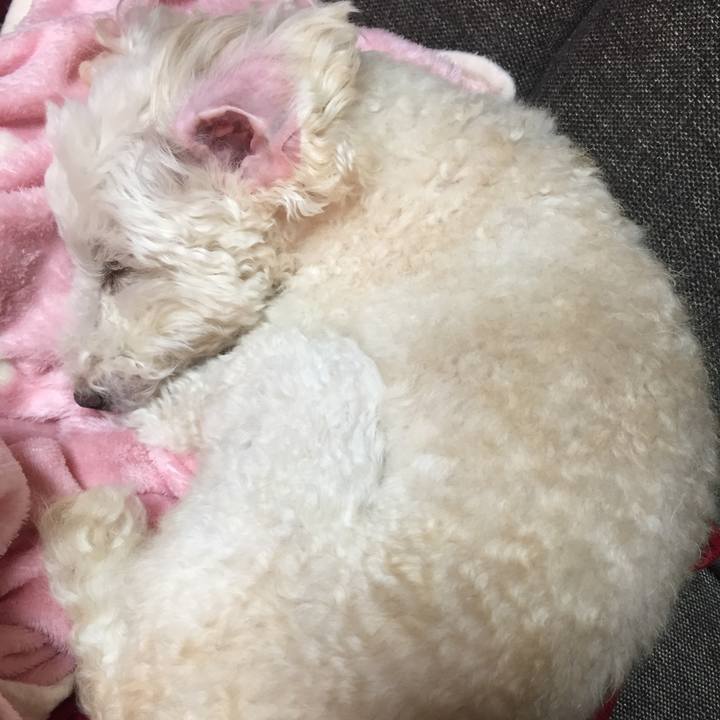 9f906201 53b8 49c6 862a 003c77b85f04