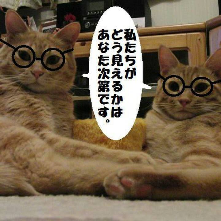 9f90f13e fe9e 4db1 8b51 701a5c42c7dd