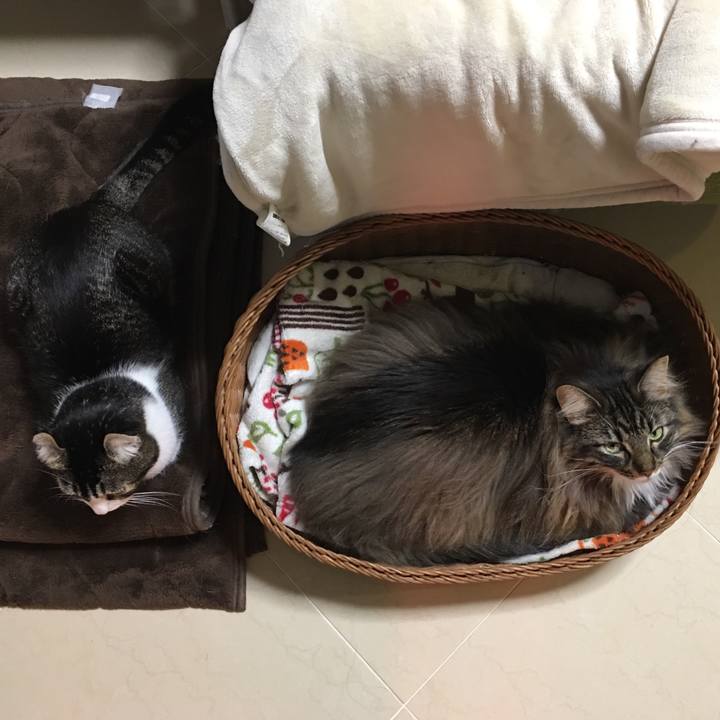 9f910253 01d0 448f b738 ca0f607fef24