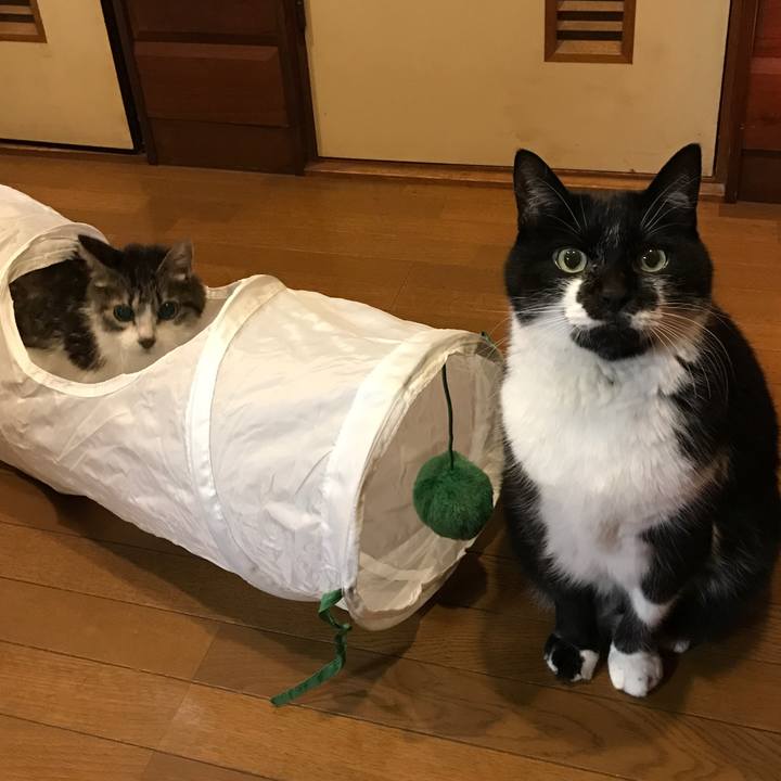 9f9276a2 ea8d 49be ac70 b31ee9b514ab