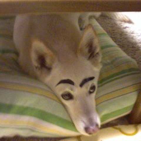 9f92e365 ab8f 4b67 89f0 4f5b075cdd25