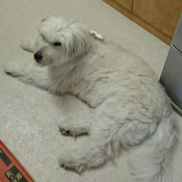 9f930b5c 8cd7 4f01 96a0 7c17a8915b28