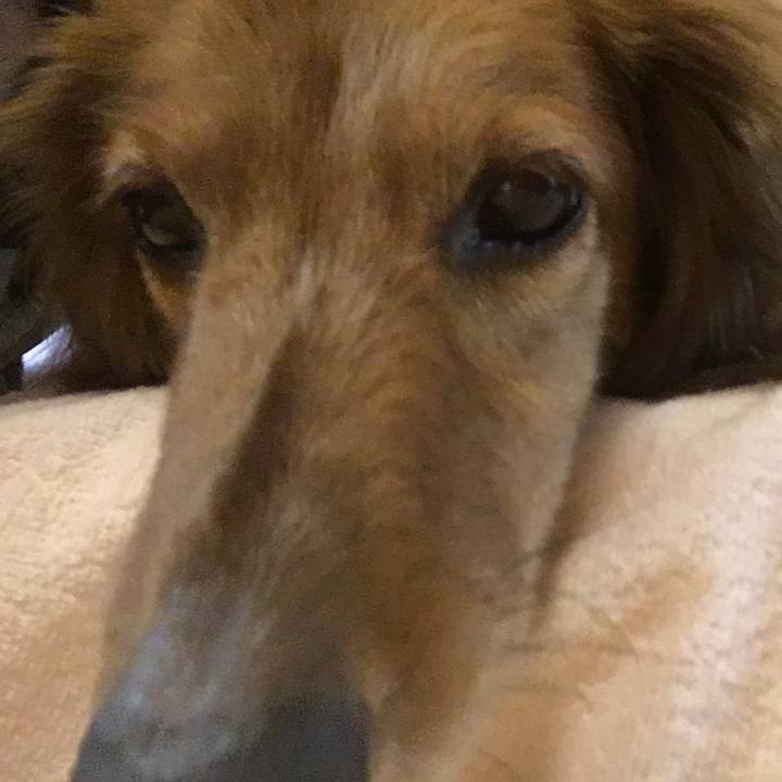 9f93b13e b00e 4172 923a db91d1de37a7