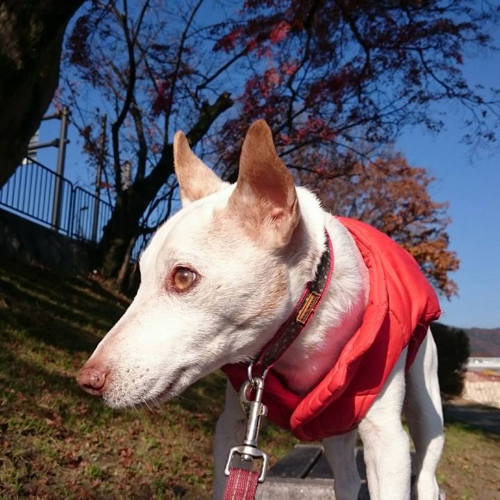 9f941930 b6a5 429b a576 3715278efd7a