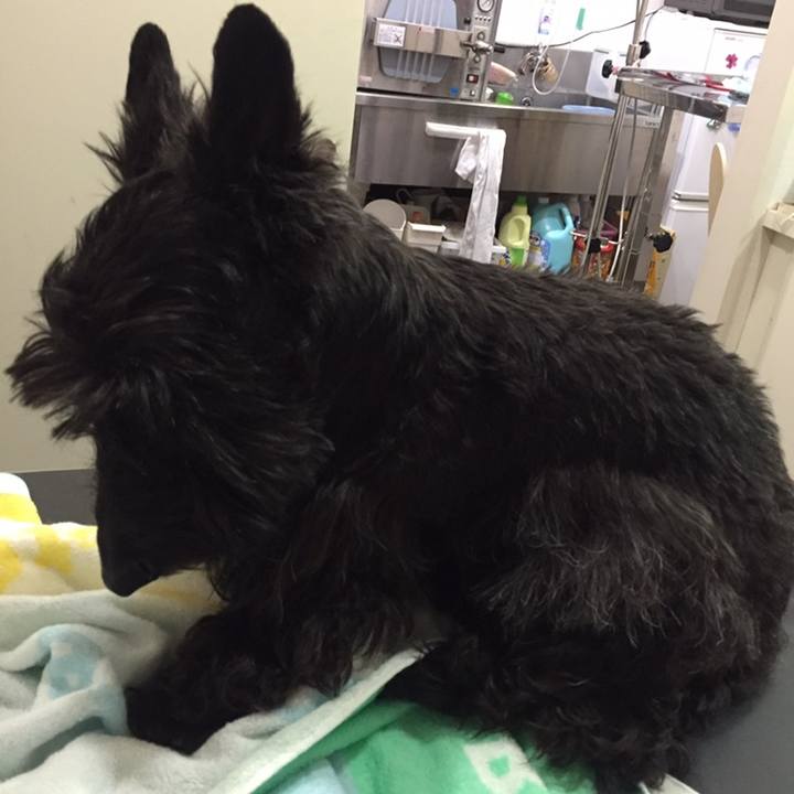 9f9422ef 3dc8 47fa 9152 9e265981830d