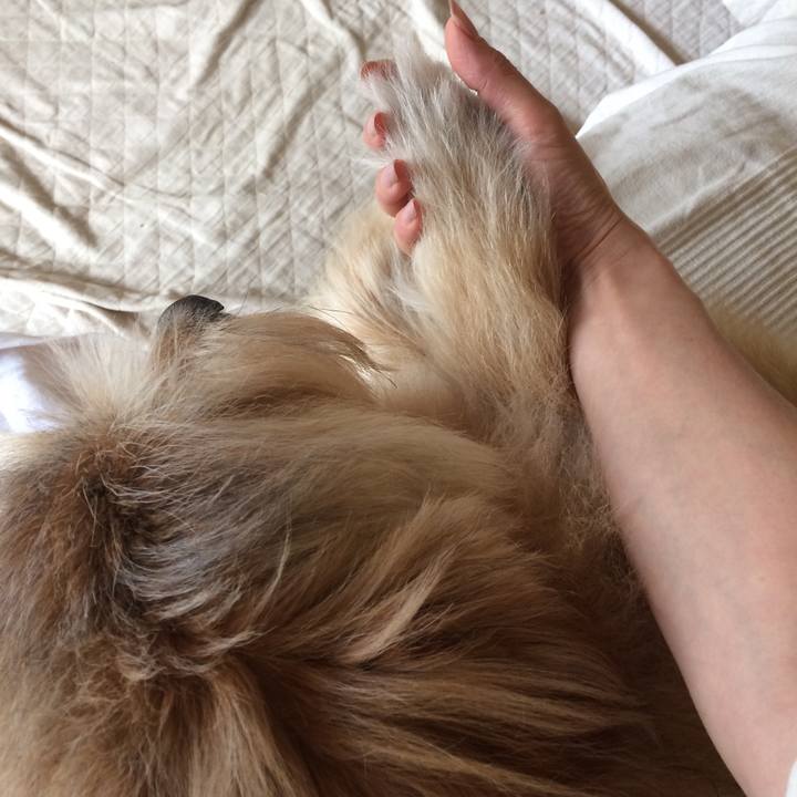 9f9466d6 a1b0 4da2 b011 e26fdf84b59d