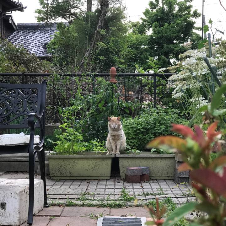 9f9553df 48d5 4178 ad65 9d0009c8b9a3