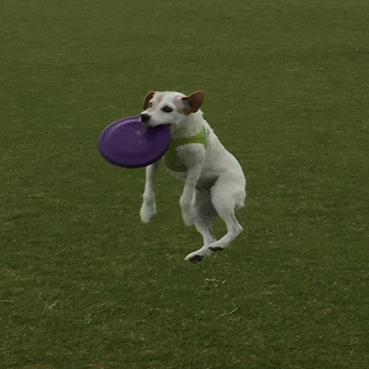 9f955722 ef91 4d1e 8cb2 f0fbec46fa1e