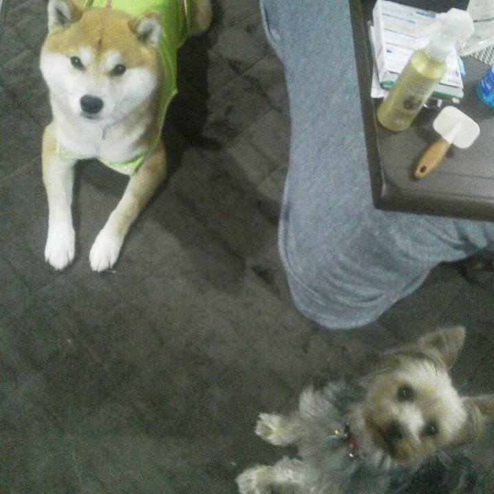 9f956dfd 566b 4704 82ba 3c6fe03efedd