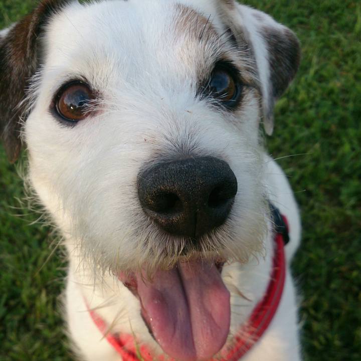 9f966484 b0a0 4f2a 957d 87b0c2b9bfa8