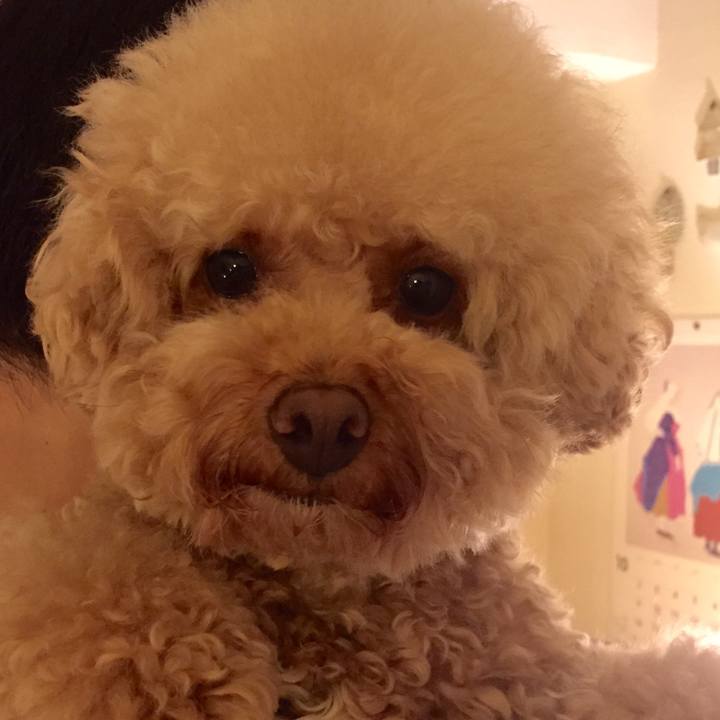 9f97048b c9da 4fe7 99b8 e6713ff1c927