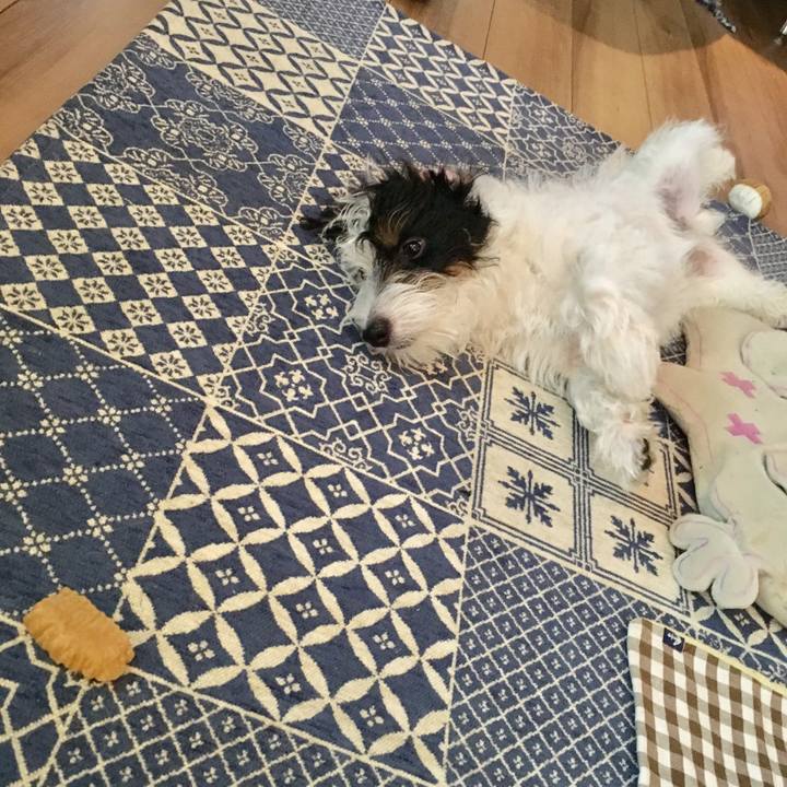 9f97a45c 4002 492c 87b4 1d70318671fc