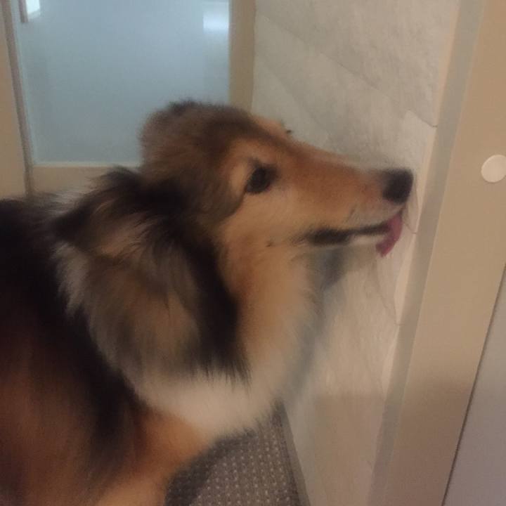 9f97b9a0 c8f9 438f a56a 15268405814e