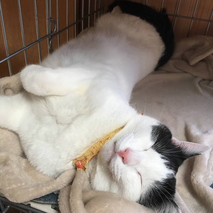 9f97d4dc 1fd3 4da6 ad5c df6b4ac7af17