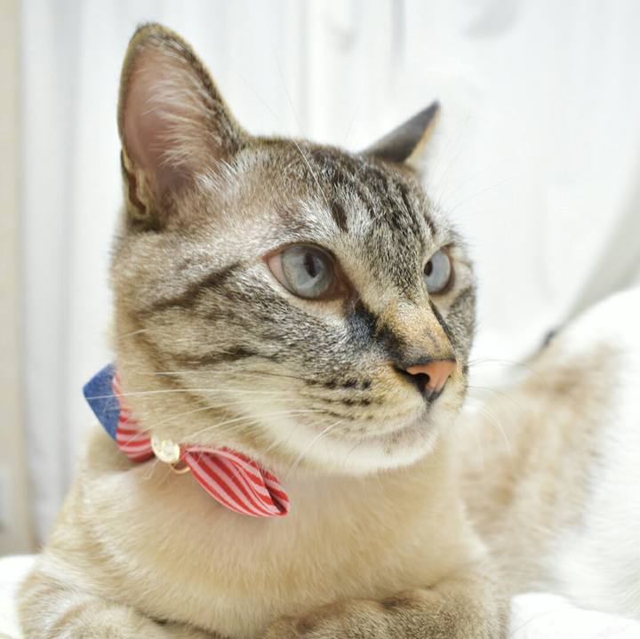 9f97ee84 9a95 4835 b31b c899dd294115