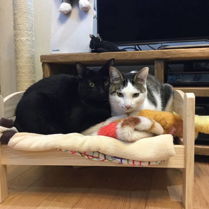 9f98324a 7a04 44ec be5e 1b311f111a1a