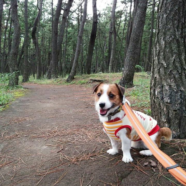 9f9860f5 b4d9 478b b168 2ef861224121