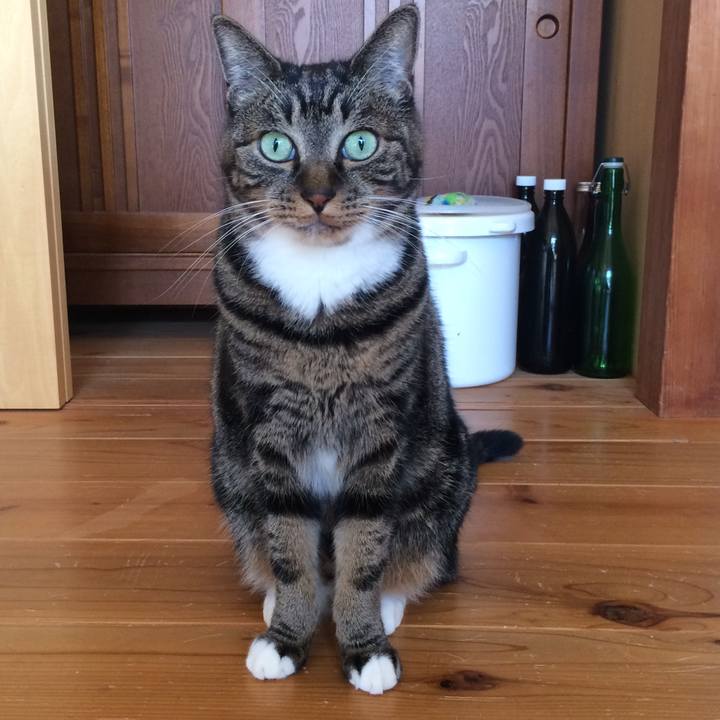 9f989563 d314 401f 89f1 f8bacba8db93