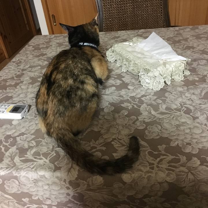 9f99f0f2 6251 4946 8d25 79767dc901ed