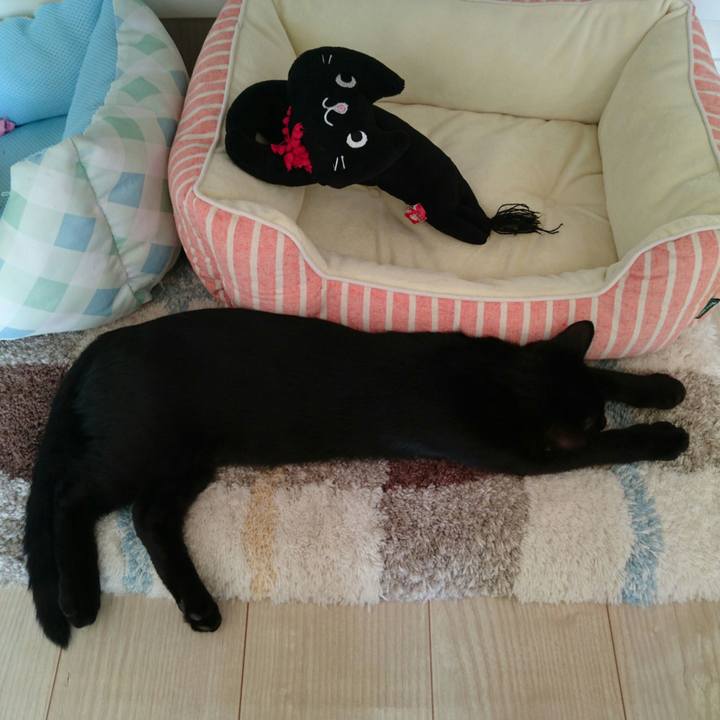 9f9a1853 f568 4a59 8c77 f29fb2ea636e