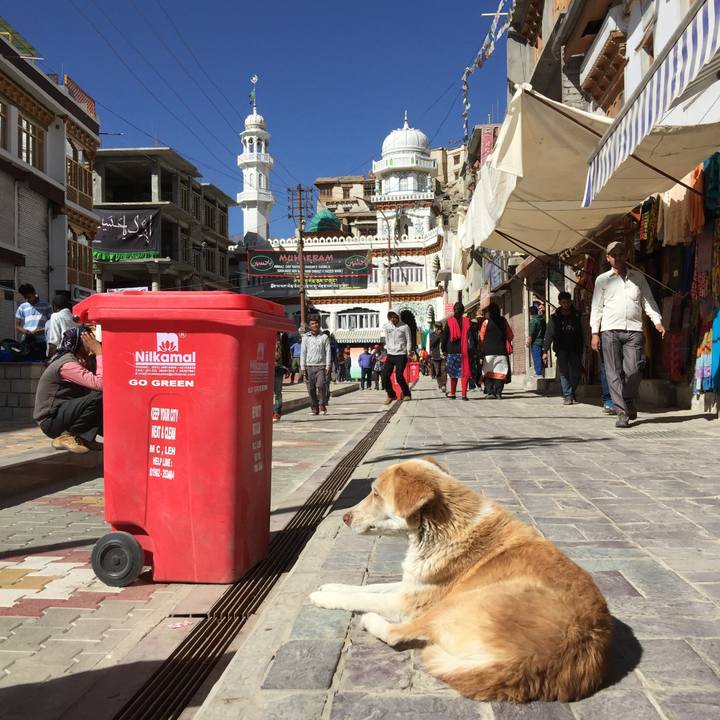 9f9a5382 67b8 42d0 aa4c 0e422af8842c