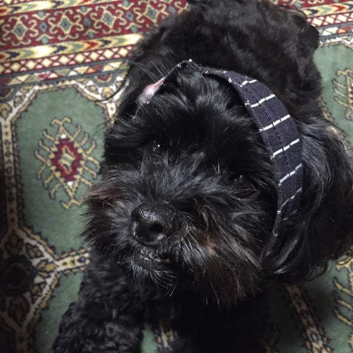 9f9add64 4c01 461e 9ec0 4249d8797b3d