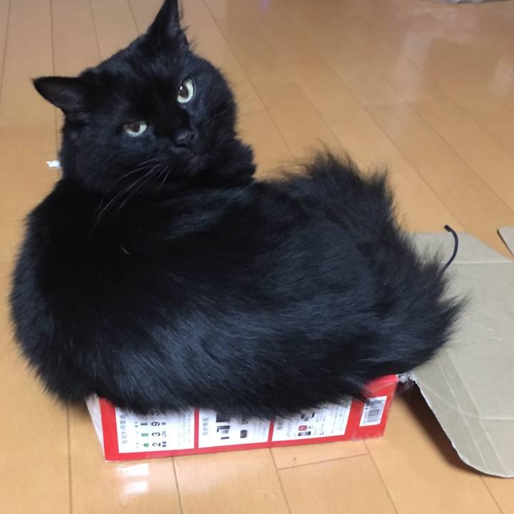 9f9aeded 560c 449b 85c9 eb6bbdfc858b