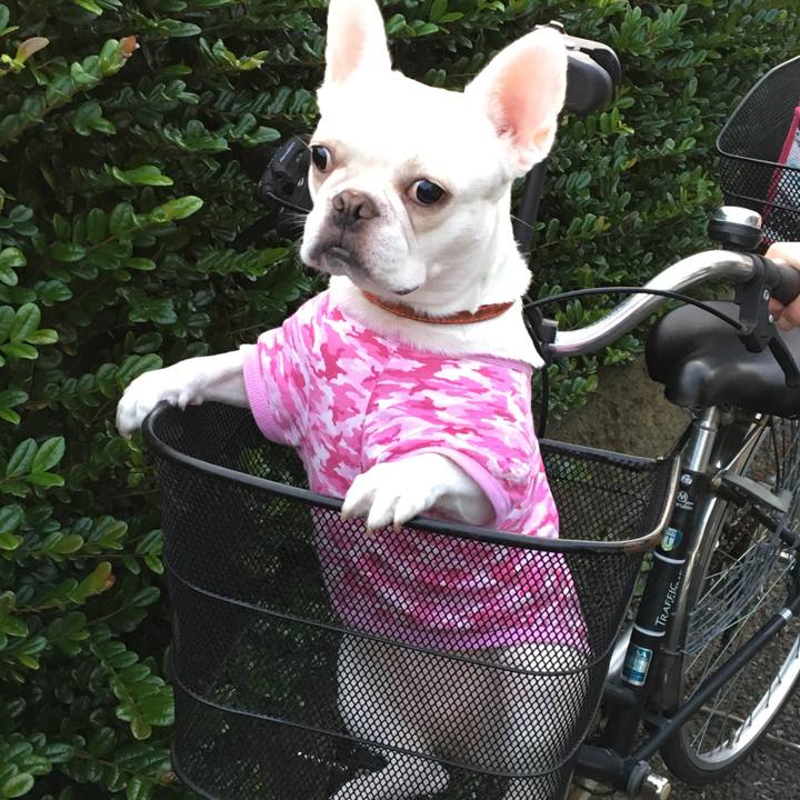 9f9b6ced 5806 4180 bd1c ff9ad4e44a33