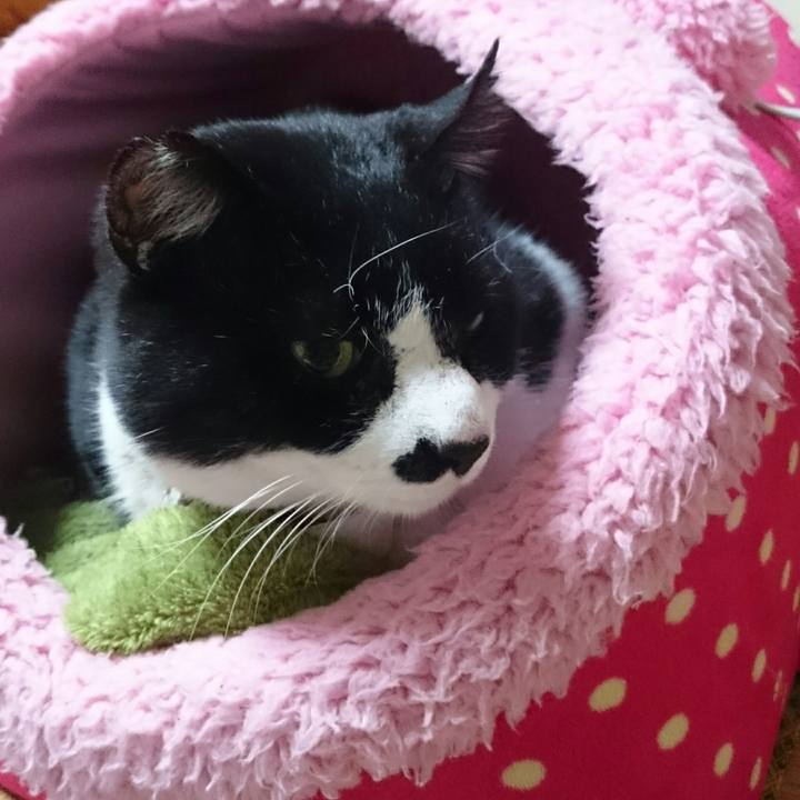 9f9baadb 692f 4239 93f2 d66e3016c9ef