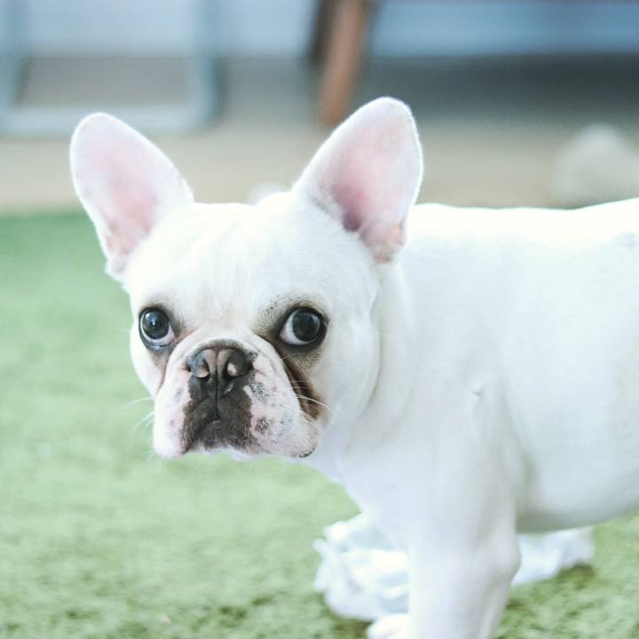 9f9ced14 90a0 40d1 af65 045a052f1ba1